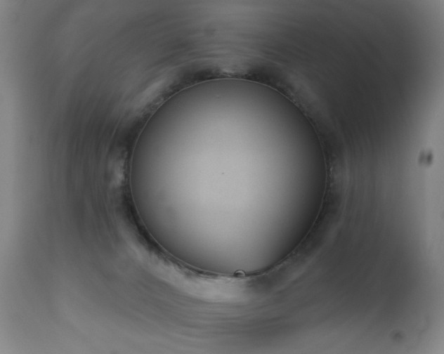 X0000110960032200906191323