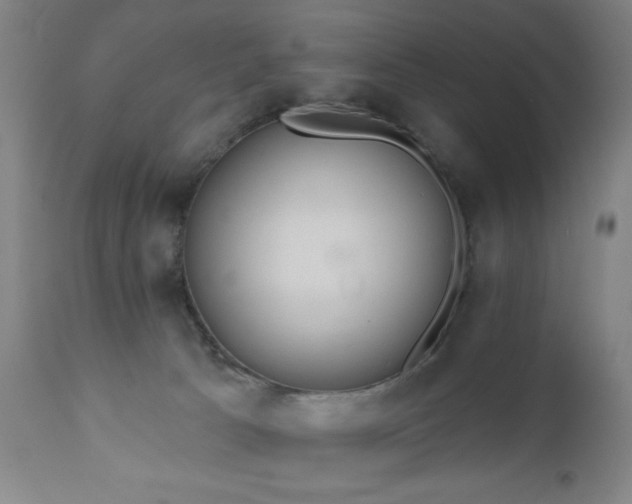 X0000110960033200906191323