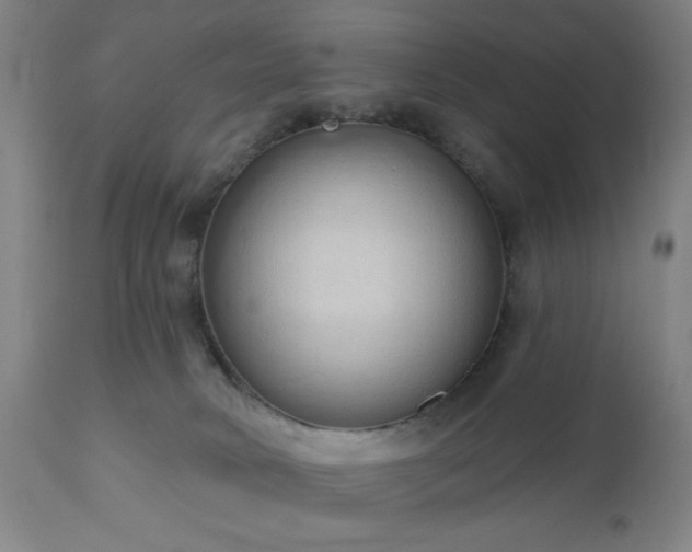 X0000110960034200906191323