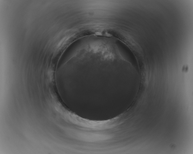 X0000110960035200906191323