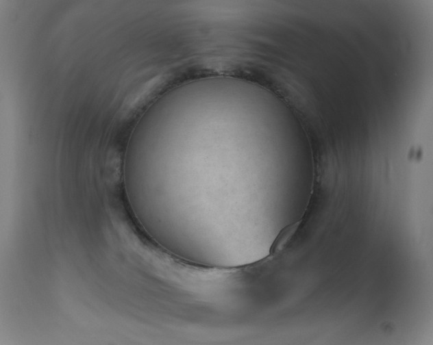 X0000110960036200906191323