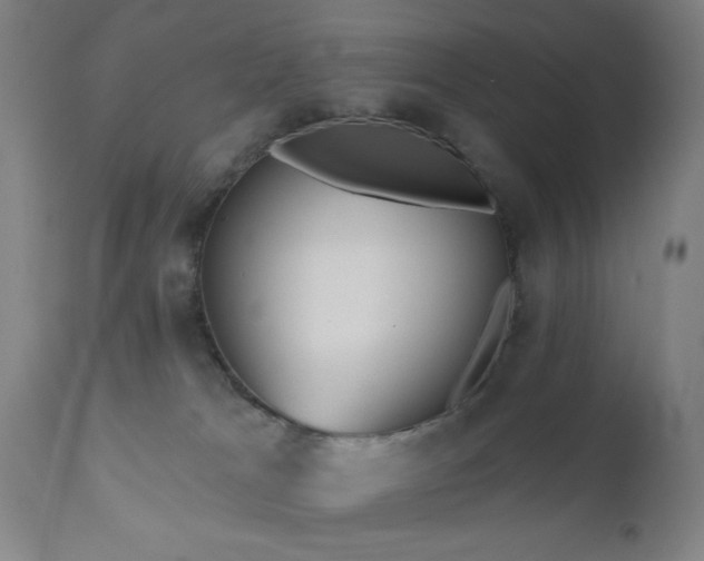X0000110960037200906191323