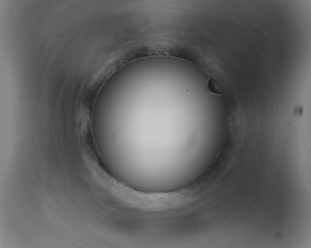 X0000110960038200906191323
