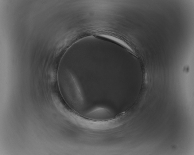 X0000110960039200906191323