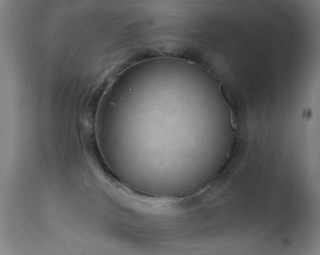 X0000110960040200906191323
