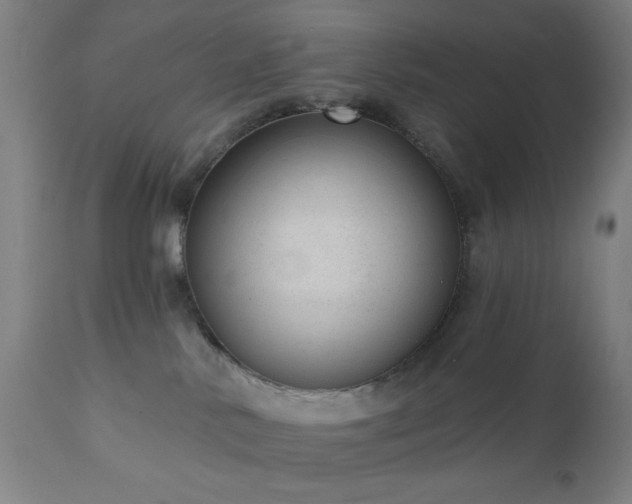 X0000110960042200906191322