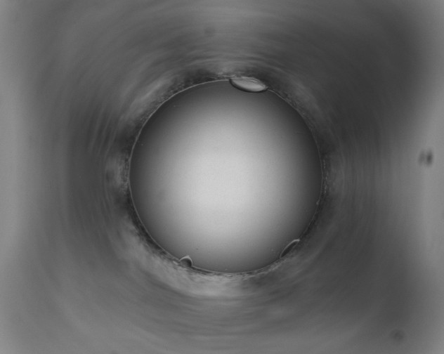 X0000110960044200906191322