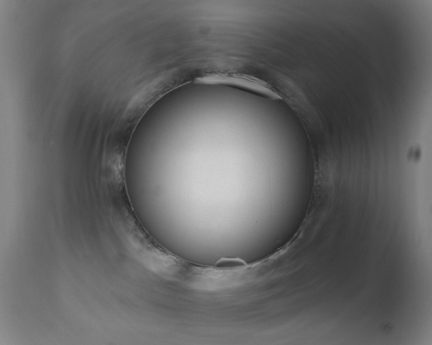 X0000110960045200906191322