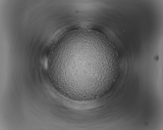 X0000110960046200906191322