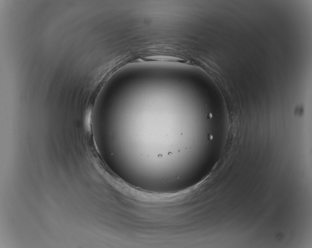 X0000110960047200906191322