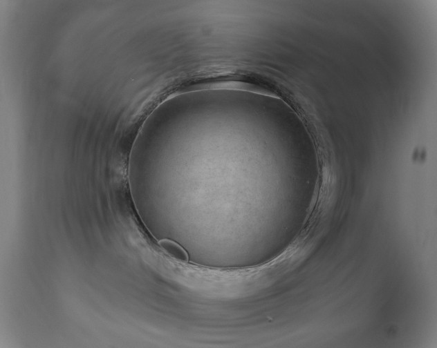X0000110960048200906191322