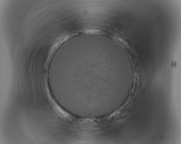 X0000110960049200906191322