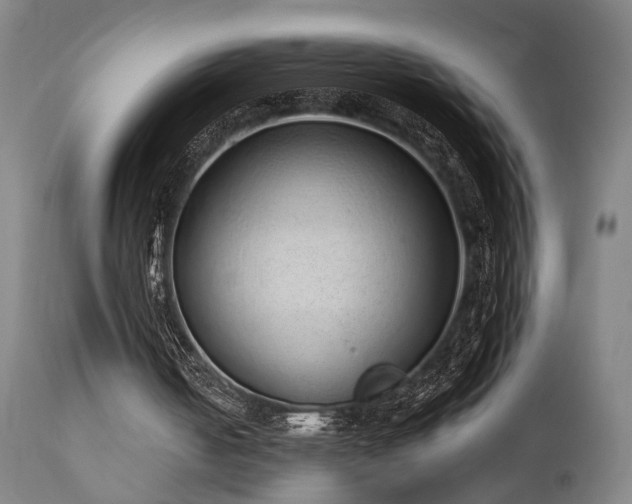 X0000110960050200906191322