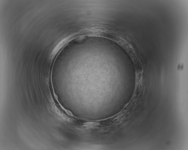 X0000110960051200906191322