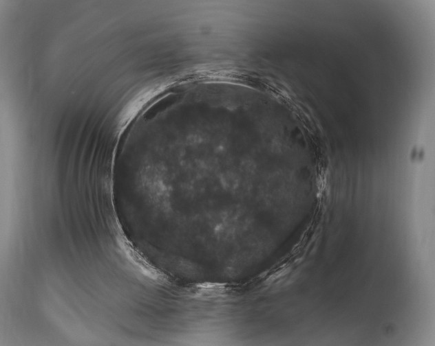 X0000110960052200906191322