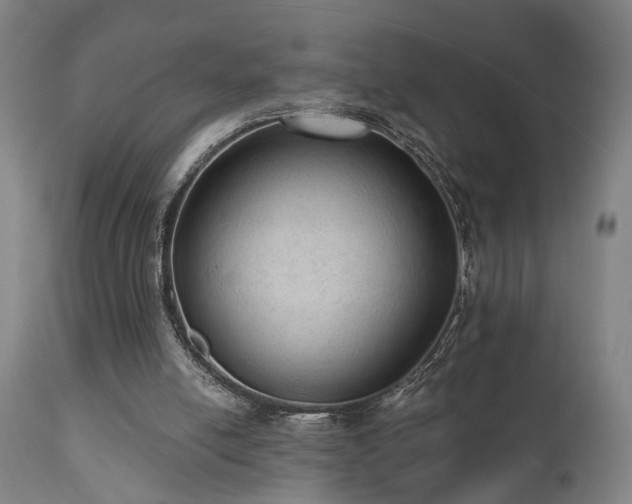 X0000110960054200906191322