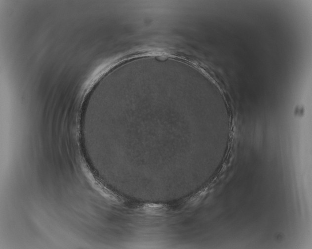 X0000110960055200906191322