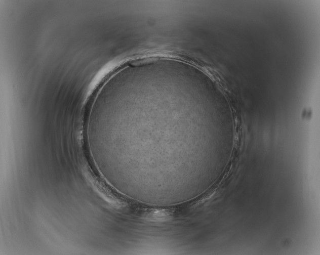 X0000110960056200906191322
