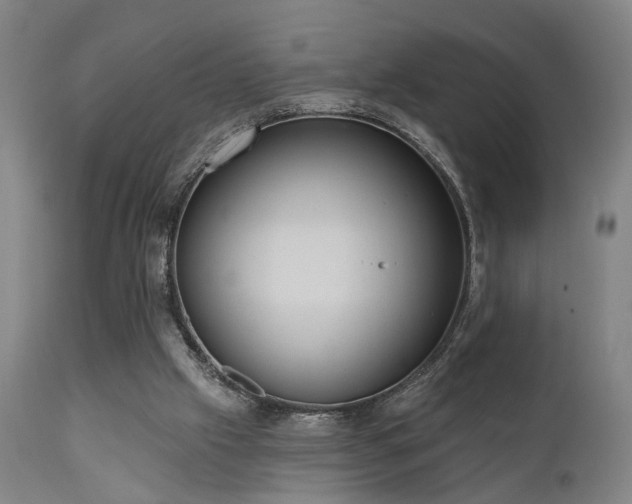 X0000110960057200906191322
