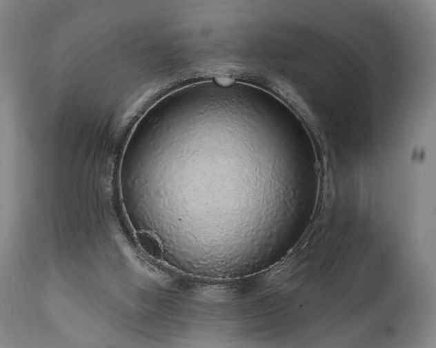 X0000110960058200906191322