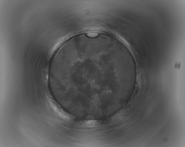 X0000110960059200906191322