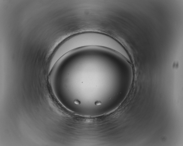 X0000110960060200906191322