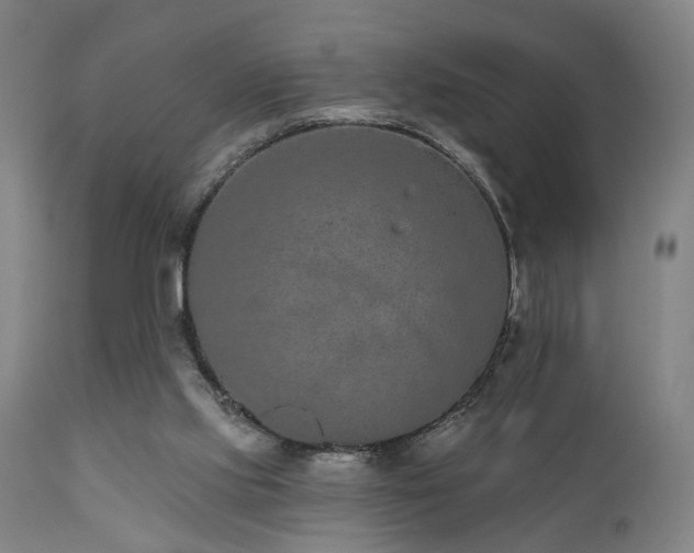 X0000110960061200906191322