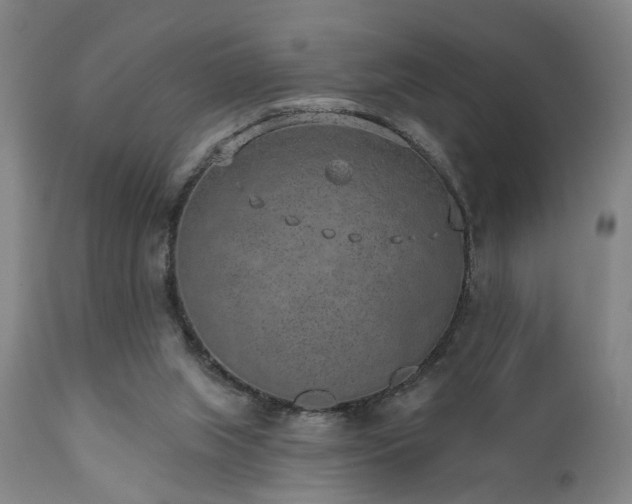 X0000110960063200906191322