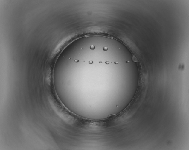 X0000110960064200906191322
