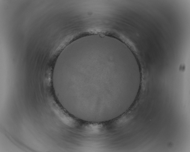 X0000110960065200906191322