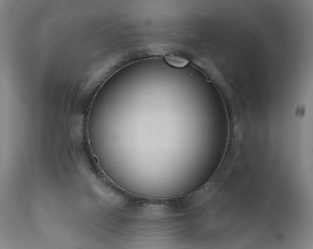 X0000110960066200906191322