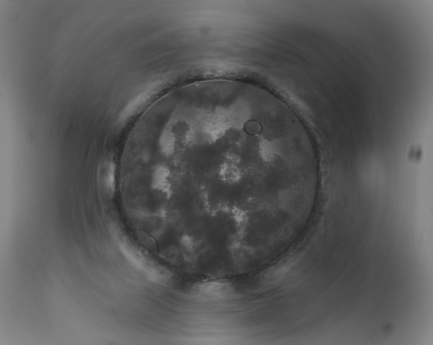 X0000110960067200906191322