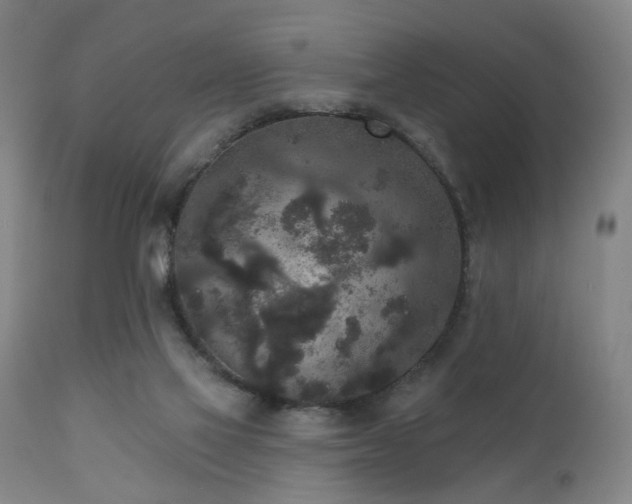 X0000110960069200906191322