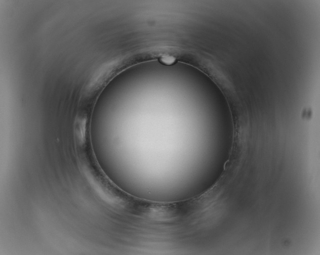 X0000110960070200906191322