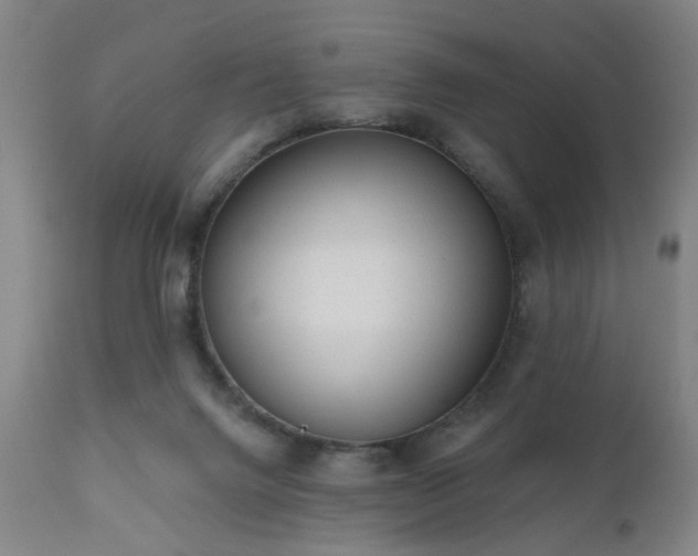 X0000110960072200906191322
