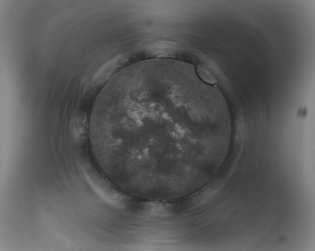 X0000110960073200906191322