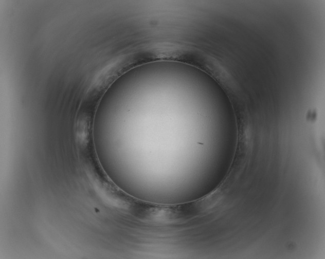 X0000110960074200906191322