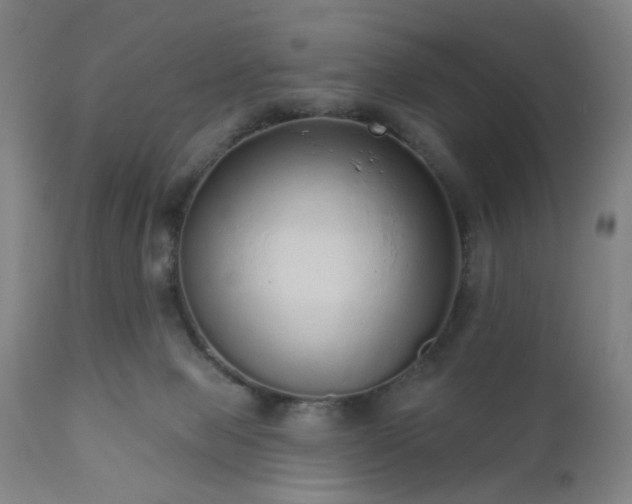 X0000110960077200906191322