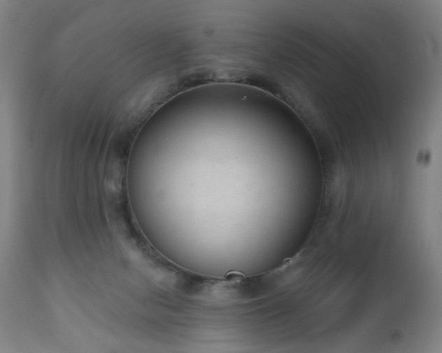 X0000110960078200906191322