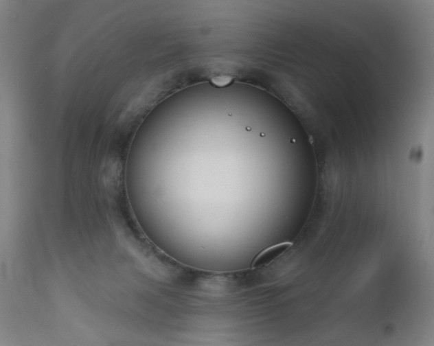 X0000110960079200906191322