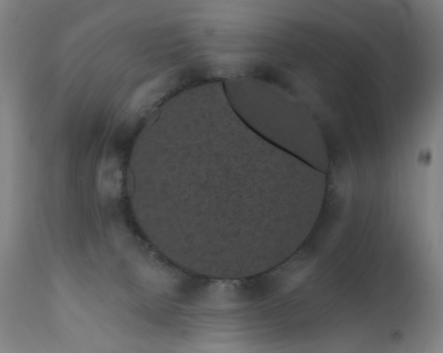 X0000110960080200906191322