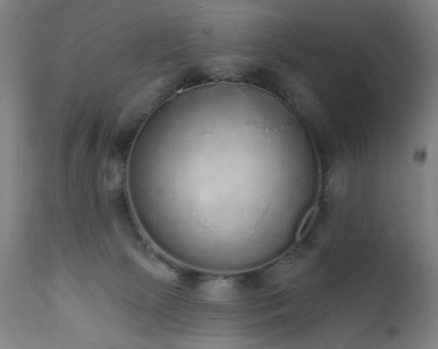 X0000110960081200906191322