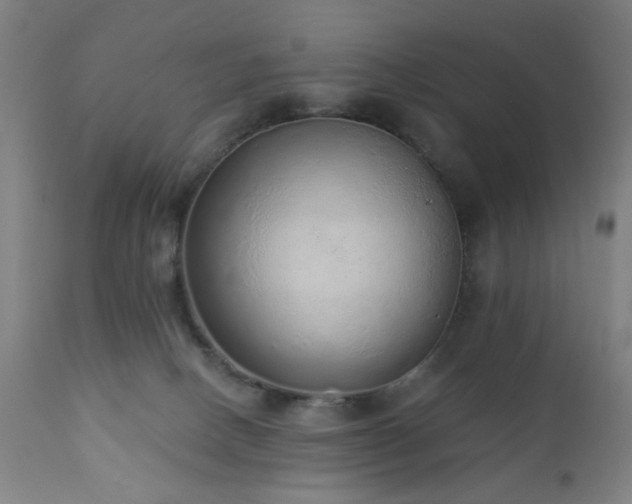 X0000110960082200906191322
