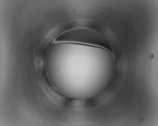 X0000110960084200906191322