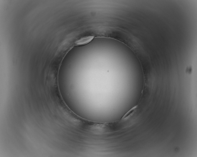 X0000110960086200906191322