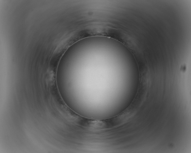 X0000110960087200906191322