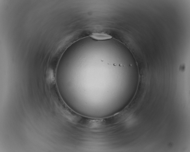 X0000110960089200906191322