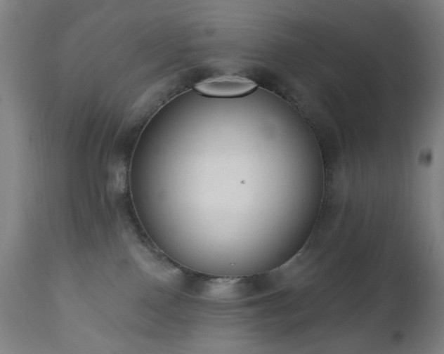 X0000110960090200906191322