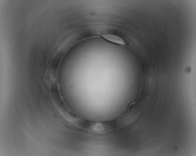 X0000110960091200906191322