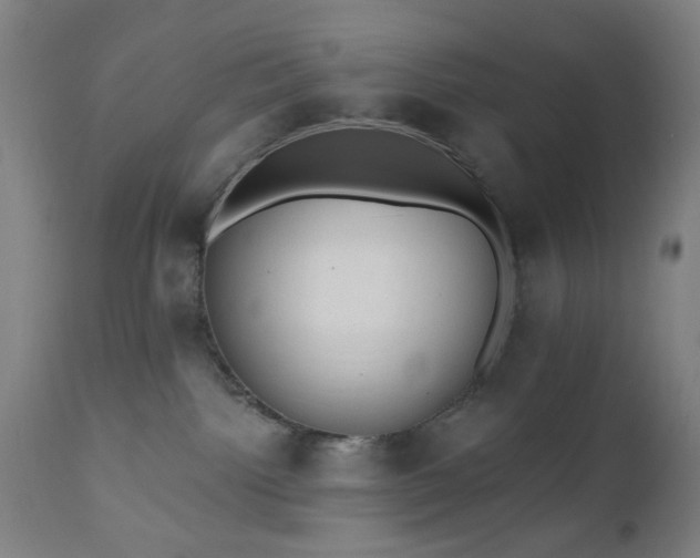 X0000110960092200906191322